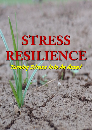 Turn Stress into an Asset with our Stress Resilience Report